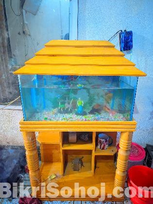 Fish aquarium